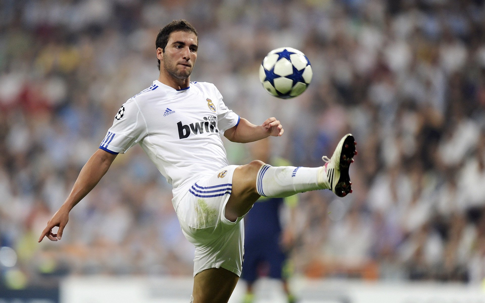 创意十足的球场设计引领行业新潮流,球场效果图